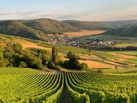 Weinberge_Aussicht_Landschaft